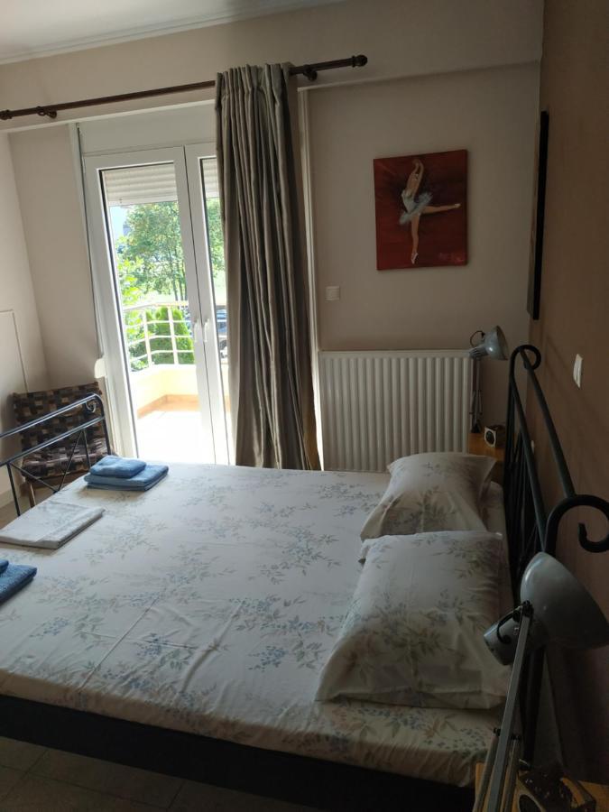 Διαμερισμα Στο Λιτοχωρο Με Εκπληκτικη Θεα Appartement Litóchoron Buitenkant foto