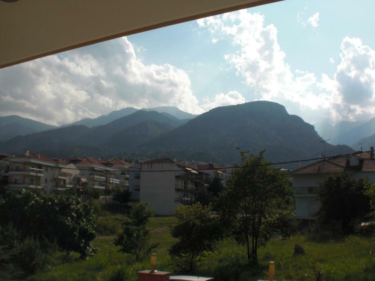 Διαμερισμα Στο Λιτοχωρο Με Εκπληκτικη Θεα Appartement Litóchoron Buitenkant foto