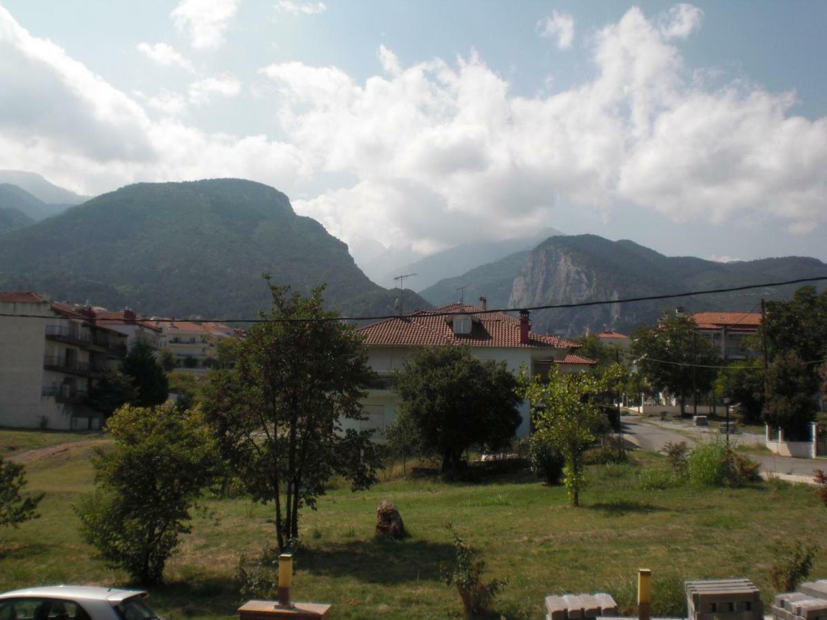 Διαμερισμα Στο Λιτοχωρο Με Εκπληκτικη Θεα Appartement Litóchoron Buitenkant foto