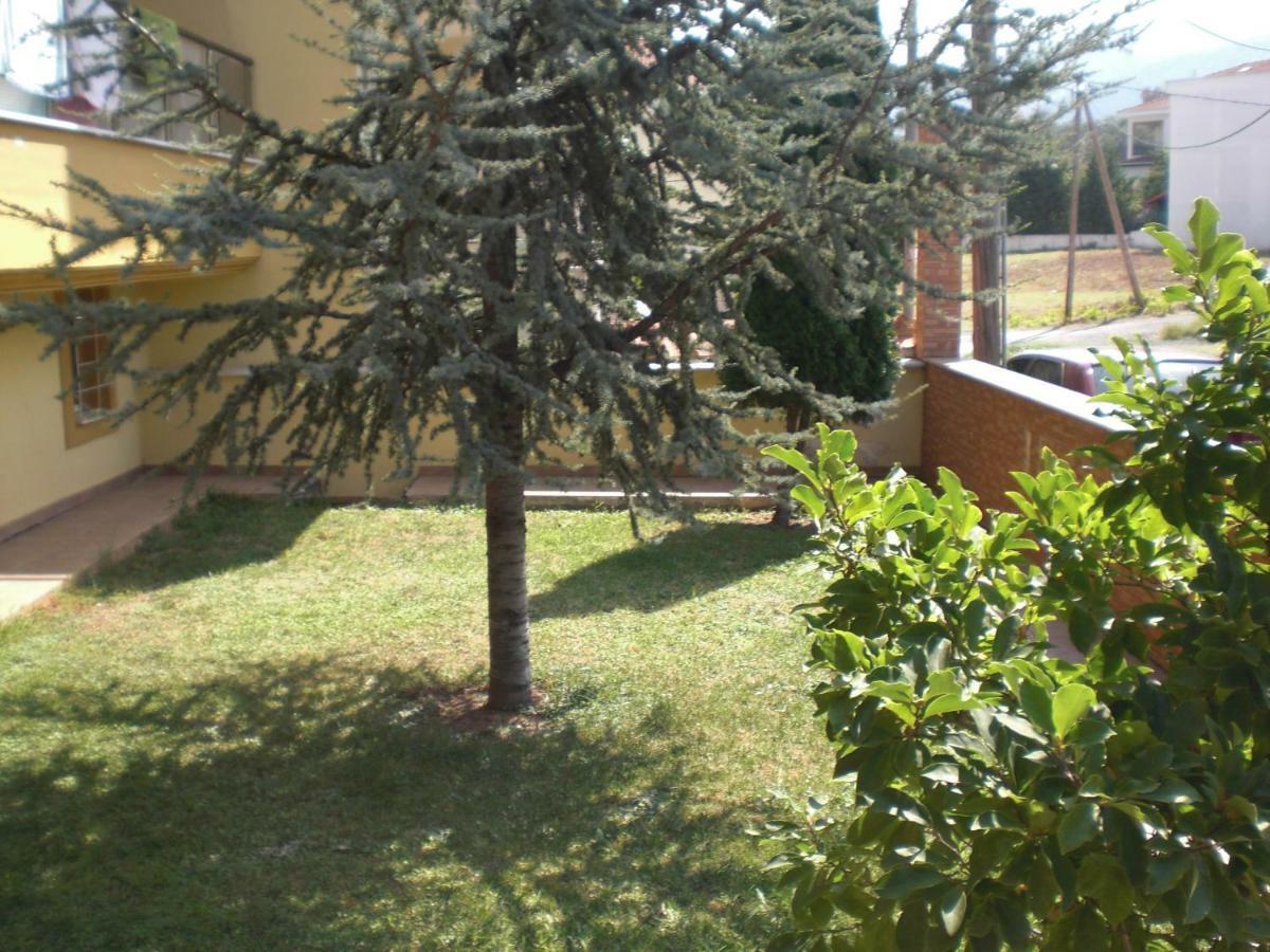 Διαμερισμα Στο Λιτοχωρο Με Εκπληκτικη Θεα Appartement Litóchoron Buitenkant foto