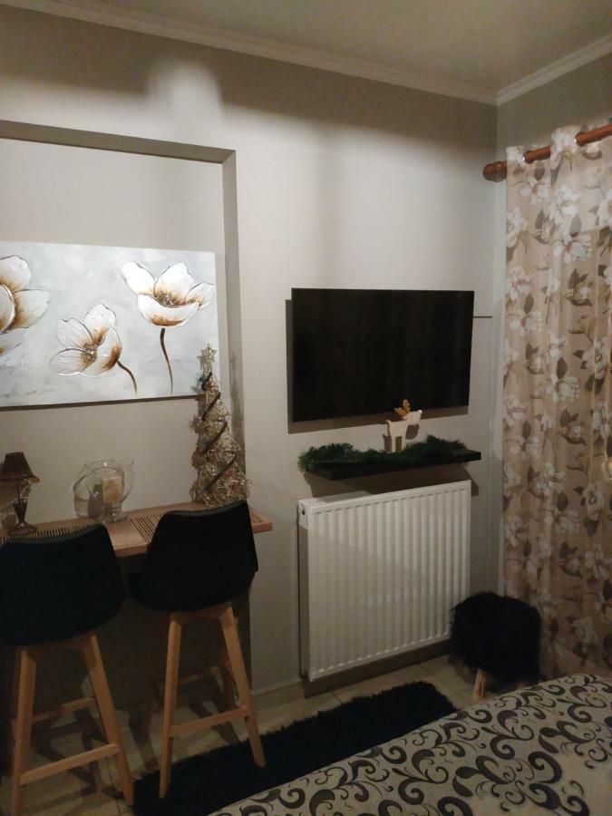 Διαμερισμα Στο Λιτοχωρο Με Εκπληκτικη Θεα Appartement Litóchoron Buitenkant foto