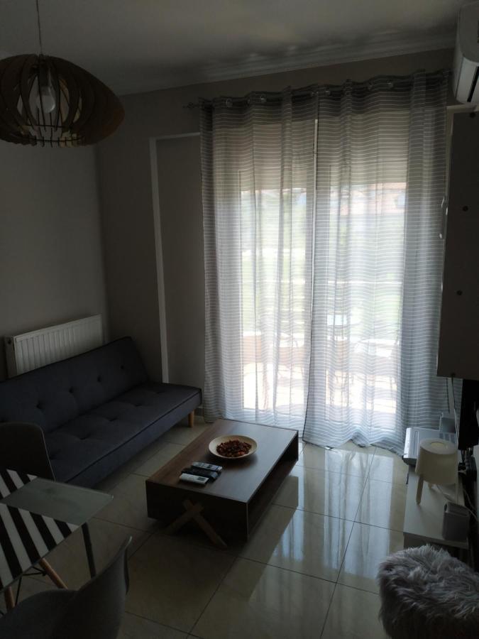 Διαμερισμα Στο Λιτοχωρο Με Εκπληκτικη Θεα Appartement Litóchoron Buitenkant foto