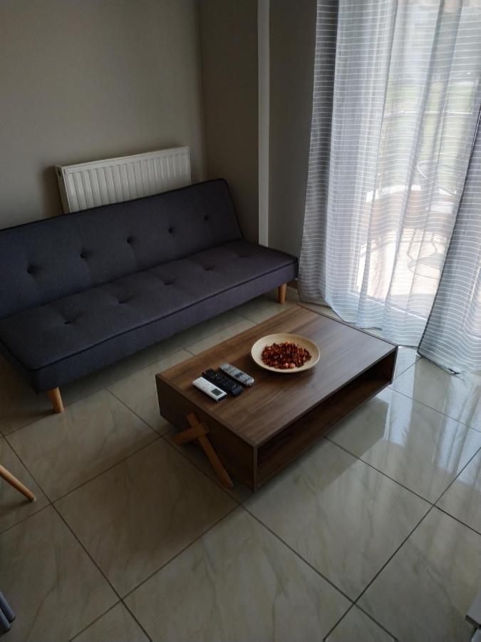 Διαμερισμα Στο Λιτοχωρο Με Εκπληκτικη Θεα Appartement Litóchoron Buitenkant foto